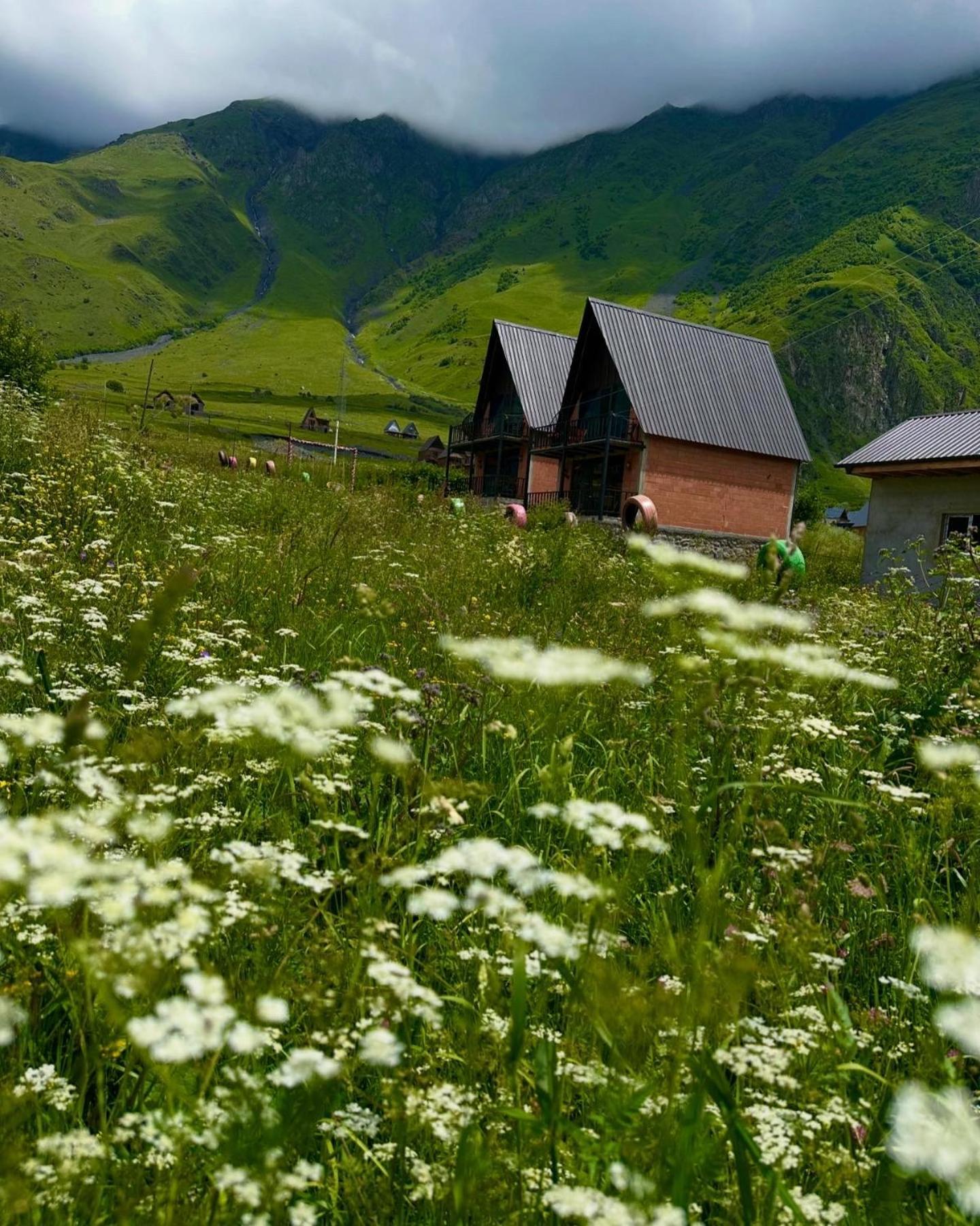 Royal Cottages Kazbegi Exterior photo